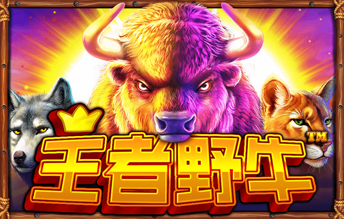c7c7.cpp安卓版下载